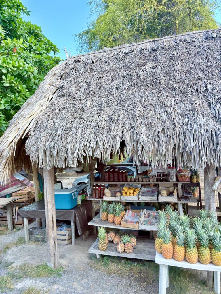 Roatan Pineapples are a major export
