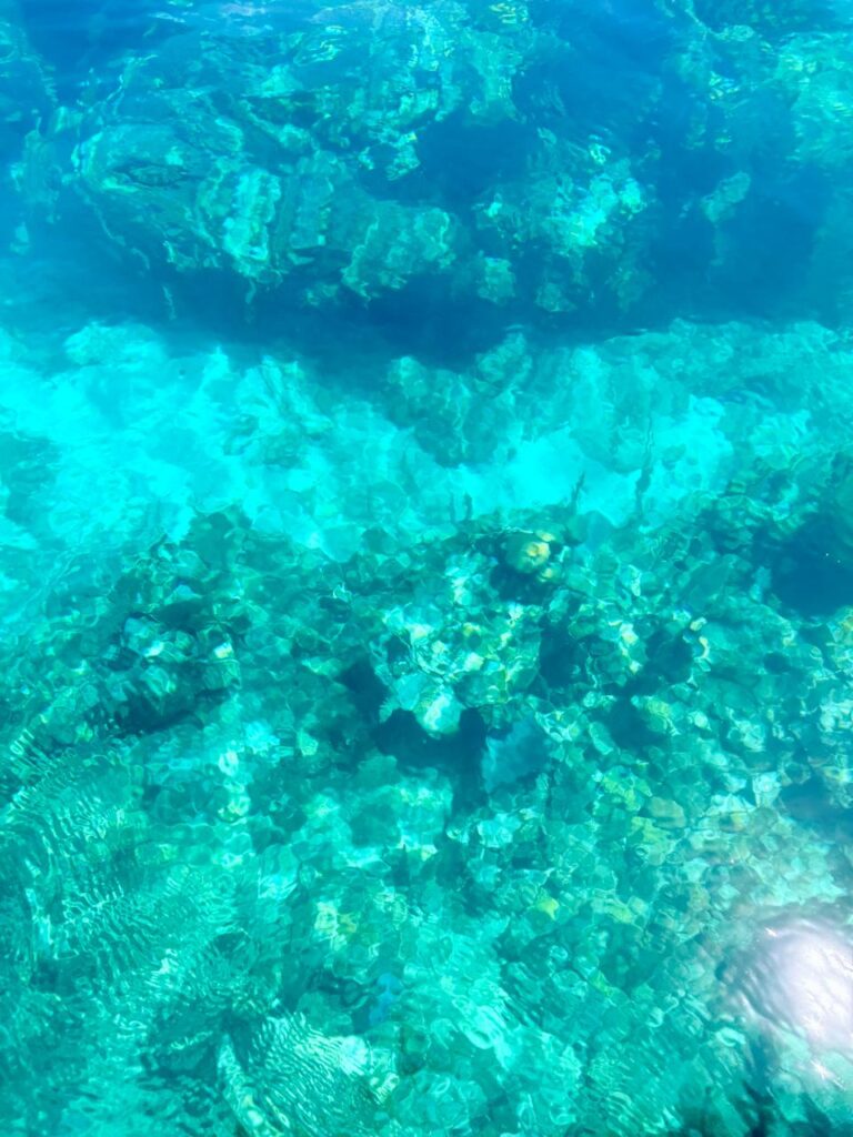 coral reef