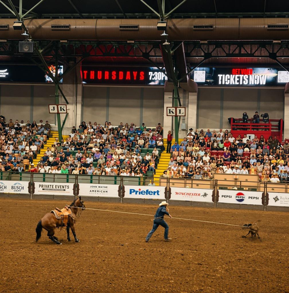 Tie roping a calf , Fort Worth Rodeo