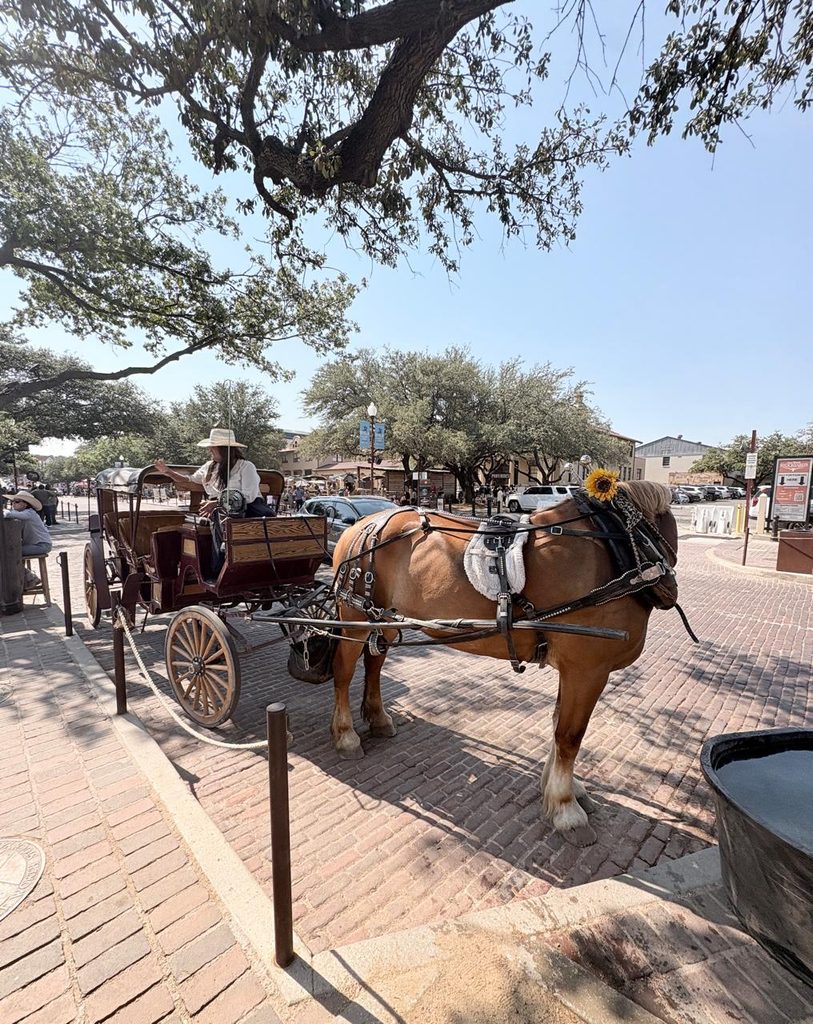 Cowboy Buggy